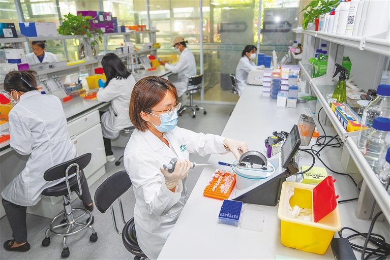 潛心科研，培育農業“芯”與通信技術開發的雙重革命